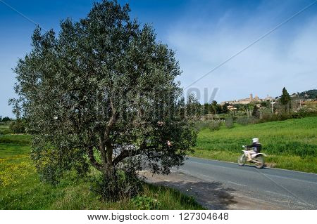 Italy, Tuscany, Volterra, Landscape