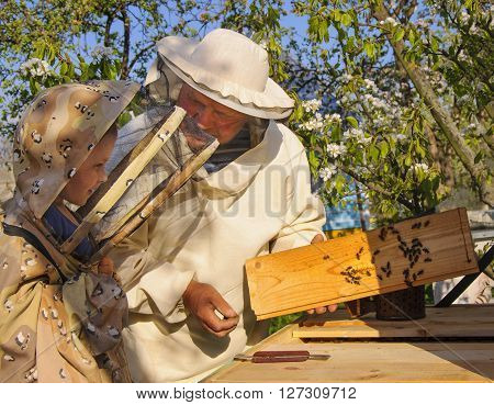beekeeper grandfather and grandson examine a hive of bees, beekeeping family affair