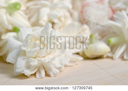 Jasmine (Other names are Jasminum Melati Jessamine Oleaceae) flowers grouped on wooden board background