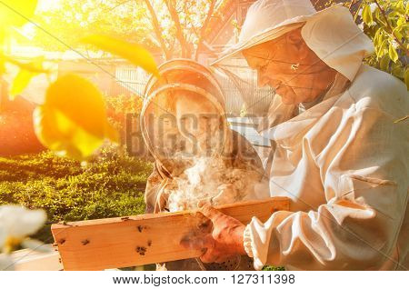 beekeeper grandfather and grandson examine a hive of bees, beekeeping family affair