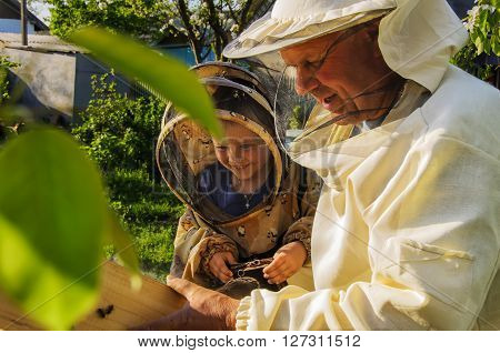 beekeeper grandfather and grandson examine a hive of bees, beekeeping family affair