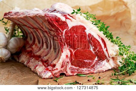 Fresh Raw Beef bone rib roughly choppid. with herbs and seasoning