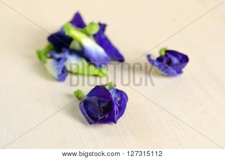 Butterfly pea or Blue pea flowers (Science name Clitoria ternatea L. other names are Orchid Station Orchid travel) isolated on wooden background