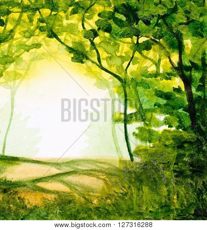 watercolor abstract background with forest trees in sunlight and green folliage