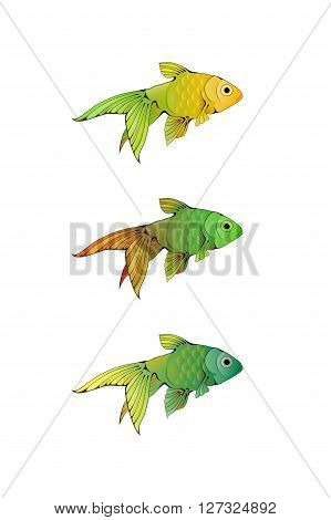 Hand-drawn ink-stylized little colorful aquarium fishes isolated on white