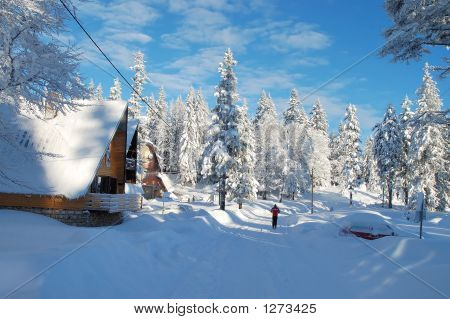 เล่นสกีที่โดดเดี่ยว