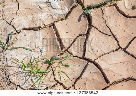 cracked earth from heat in the summer season