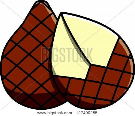 Snakefruit Vector Illustration .Eps 10 editable vector Illustration design