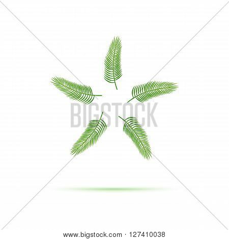 Palm leaf logo. Tropics palm logo design. Five leaves symbol