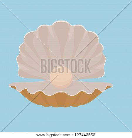 Scallop open seashell with pearl isolated on blue