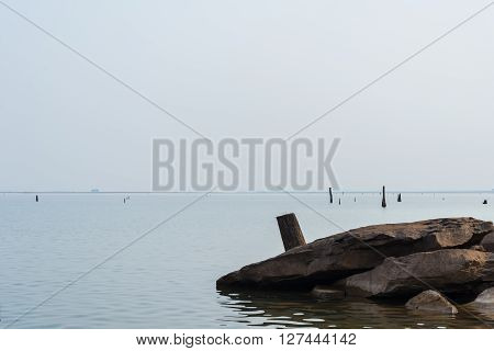 Rocks And Stumps
