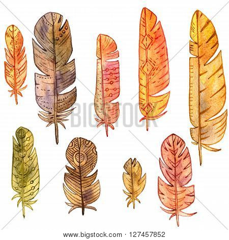 set of watercolor drawing feathers, ornate color plumelet isolated at white background, hand drawn vector elements