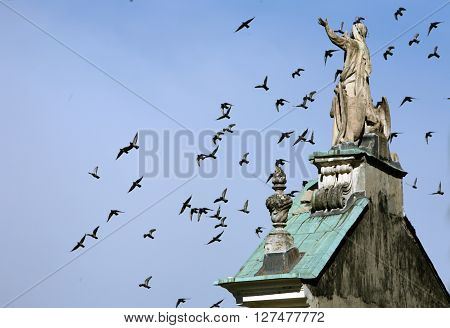 Europe Italy Lago Maggiore