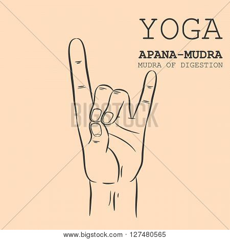 Hand in yoga mudra. Apana-Mudra. Vector illustration.