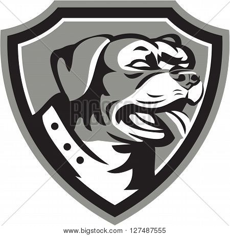 Black and white illustration of a Rottweiler Metzgerhund mastiff-dog guard dog head looking to the side set inside crest done in retro style.