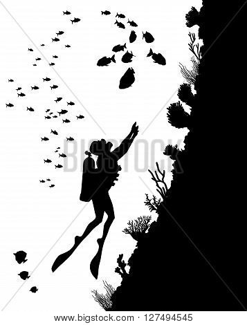 Diving Silhouettes And Underwater Life