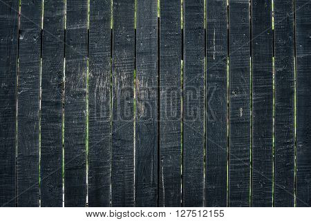 Old wood texture background, wooden board, rustic fence.