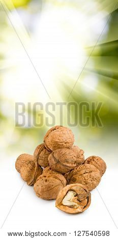 image of walnuts on the sun background