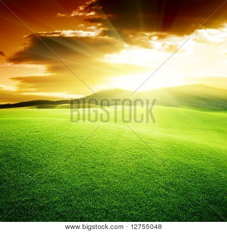 grünen Wiese und Sonnenuntergang