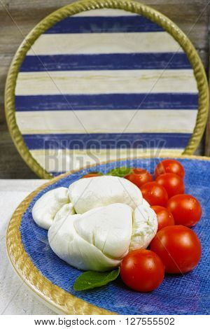 Traditional italian mozzarella buffala with tomatoes and basil on blue-white plate copy space
