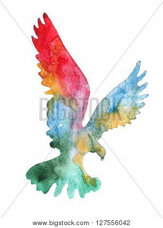 watercolor illustrtion of the rainbow flying bird.