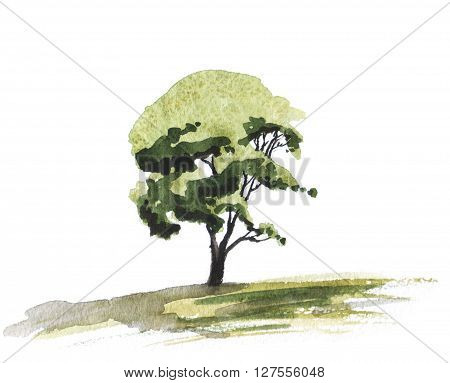 watercolor illustration of green tree. ecology symbol