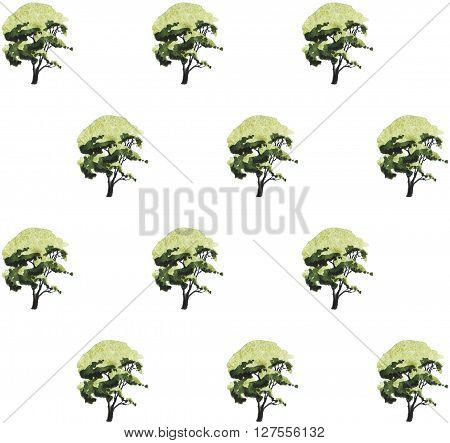 seamless pattern. watercolor illustration of green tree