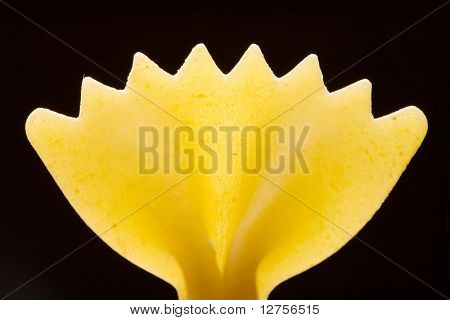 Farfalle 파스타 생 쌀의 클로즈업