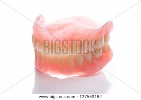 Human teeth model on the white table