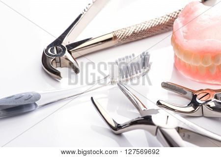 Teeth Model With Toothbrush And Forceps On White Background