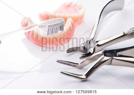 Teeth Model With Toothbrush And Forceps On White Background