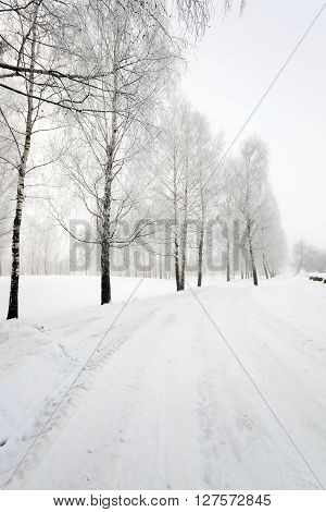 Photographed Road In The Winter. Winter, The Road Is Covered With Snow