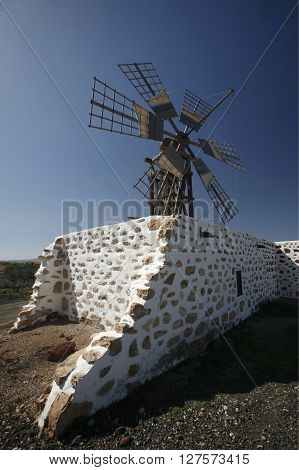 Europe Canary Islands Fuerteventura