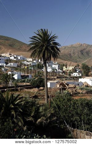 Europe Canary Islands Fuerteventura