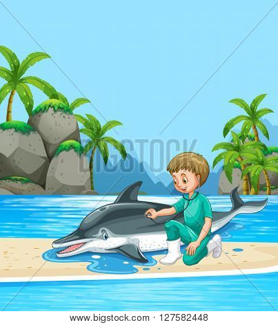 Male vet examining dolpin on the beach illustration