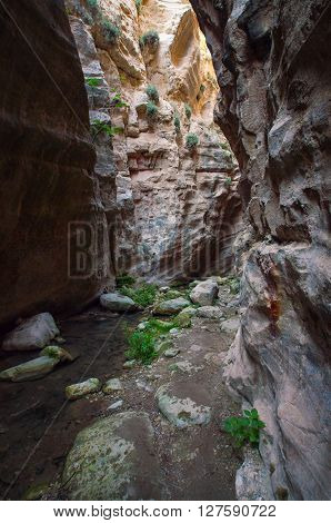 Canyon Avakas, Cyprus island, the Akamas peninsula.