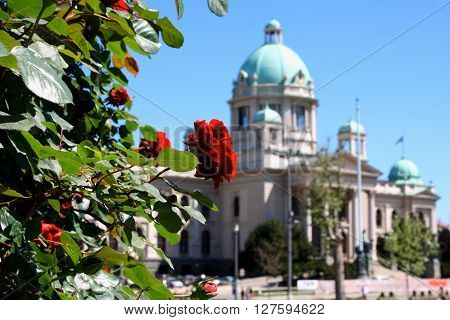 vintage picture of National Assembly of Serbia - Belgrade