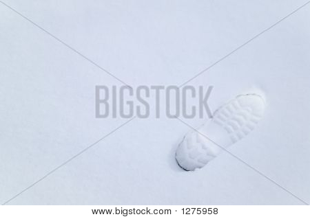 รอยเท้าในหิมะ