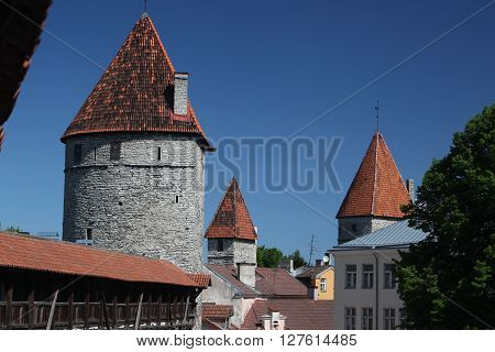 Europe Estonia Tallinn