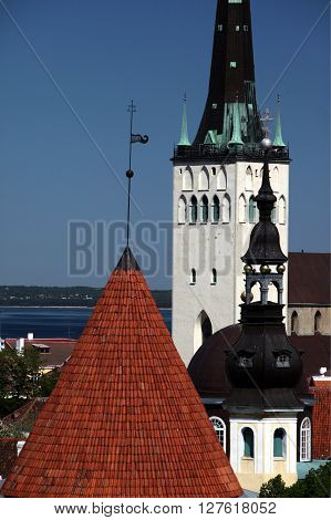 Europe Estonia Tallinn