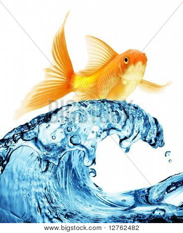 ปลาที่กระโดดน้ำหนีเพื่อเสรีภาพ พื้นหลังสีขาว