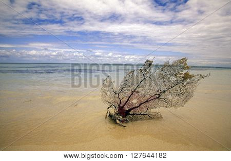 America Caribbian Sea Dominican Republic