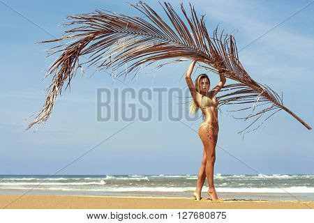 Woman in bikini poses on beach near sea with palm branch. Phuket, Thailand