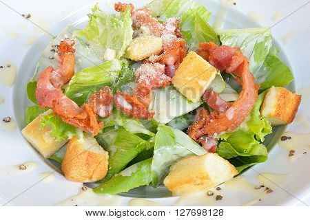 Close up image of delicious ceasar salad in white plate against white background