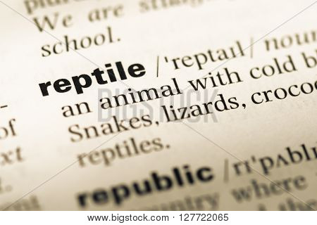 Close Up Of Old English Dictionary Page With Word Reptile.