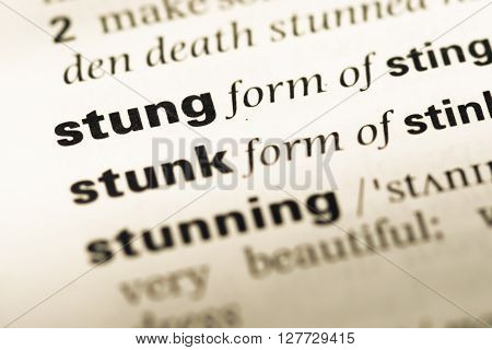 Close Up Of Old English Dictionary Page With Word Stung.