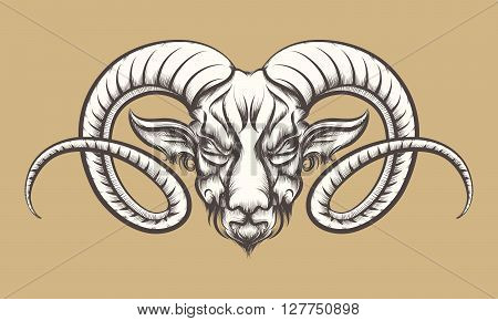 Head of A Ram drawn in tattoo style. Isolated on monochrome.