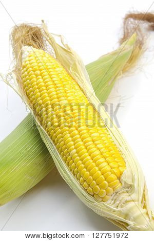 Close up Corn on white background with empty space