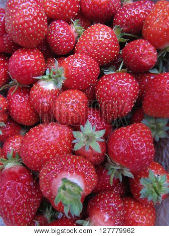 Pile of fresh picked home grown strawberries.