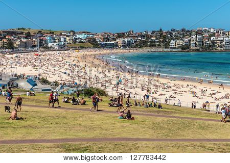 Sydney Australia - November 8 2014: Bondi Beach is crowded with a large number of beachgoers on a hot Saturday afternoon Sydney Australia.